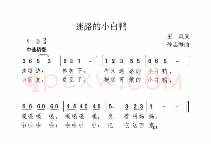 迷路的小白鸭