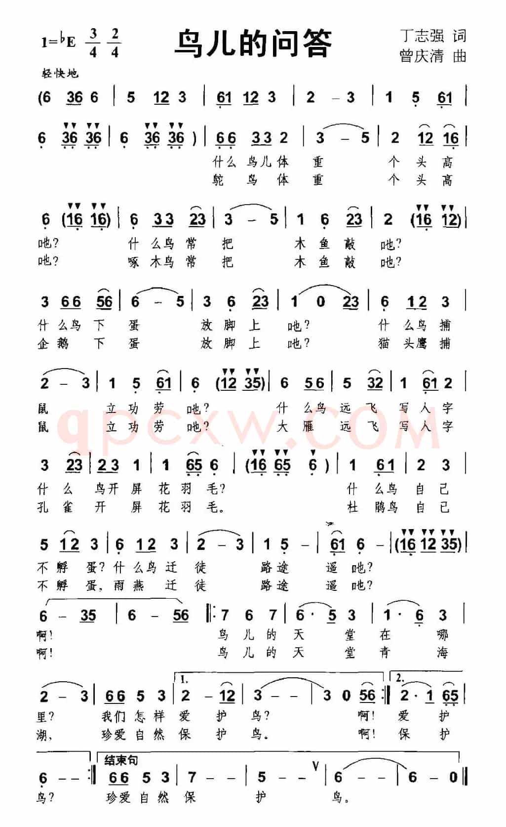 鸟儿的问答