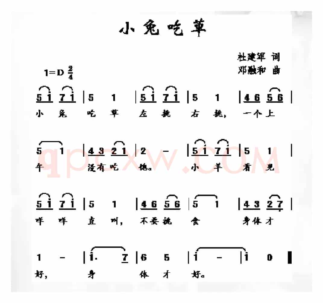 小兔吃草
