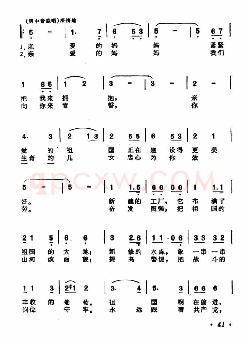 志愿军胜利归来了