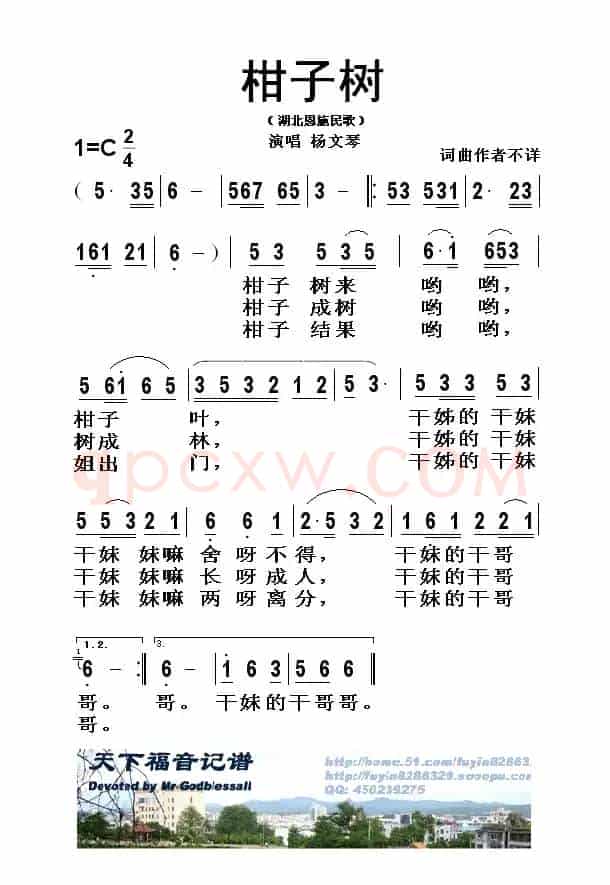 柑子书