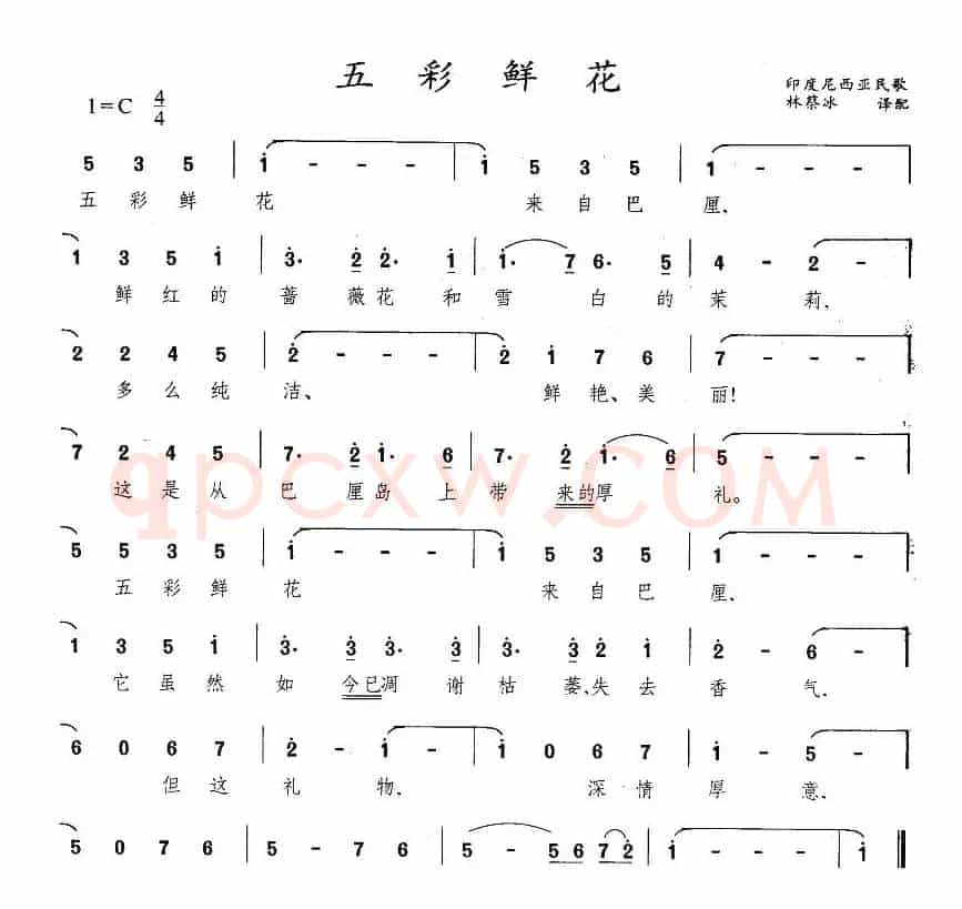 [印尼]五彩鲜花