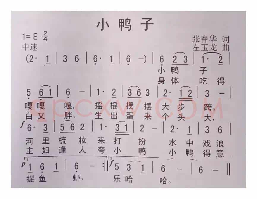 小鸭子