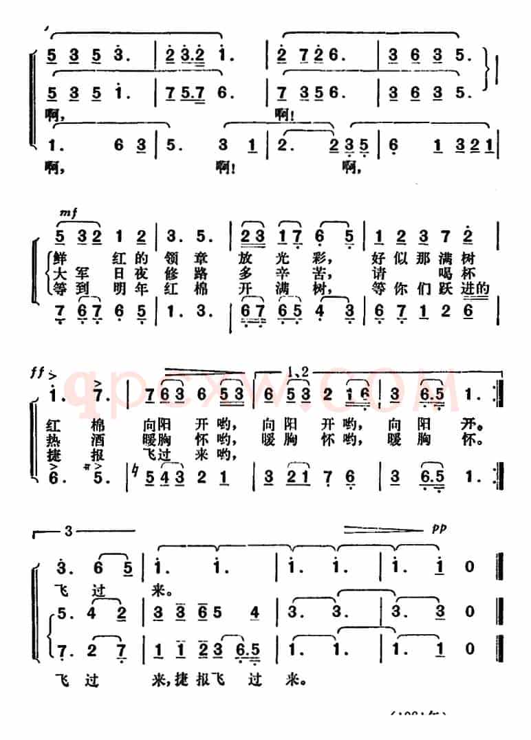 红棉花满树开