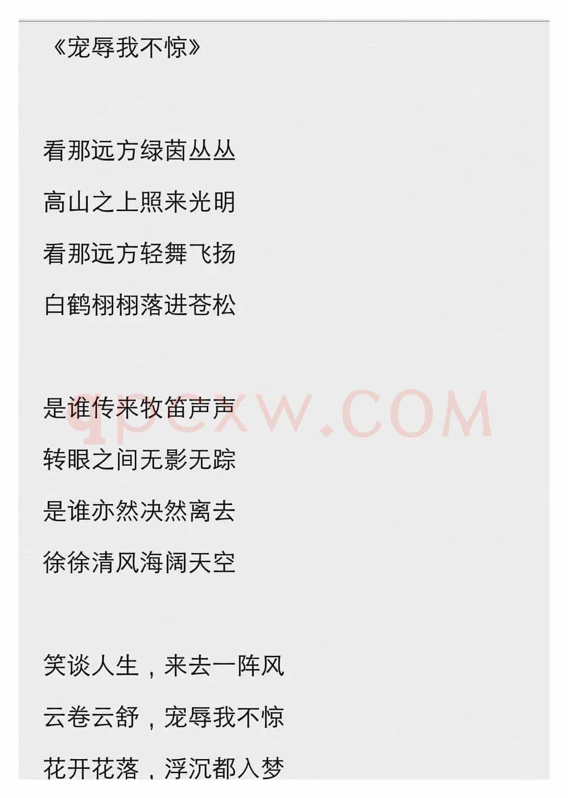 《荣辱我不惊》
