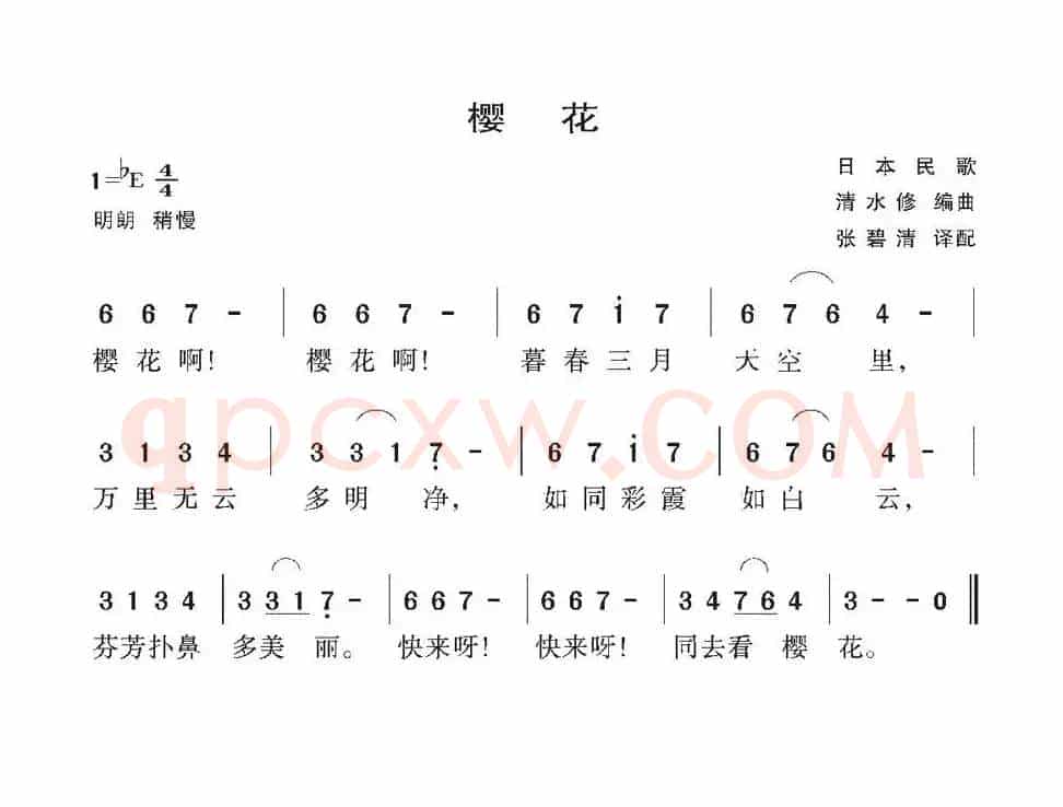 [日] 樱花（张碧清译配版）