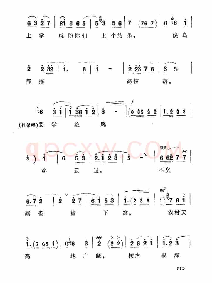 要学雄鹰穿云过（《朝阳沟》拴保、银环妈对唱）