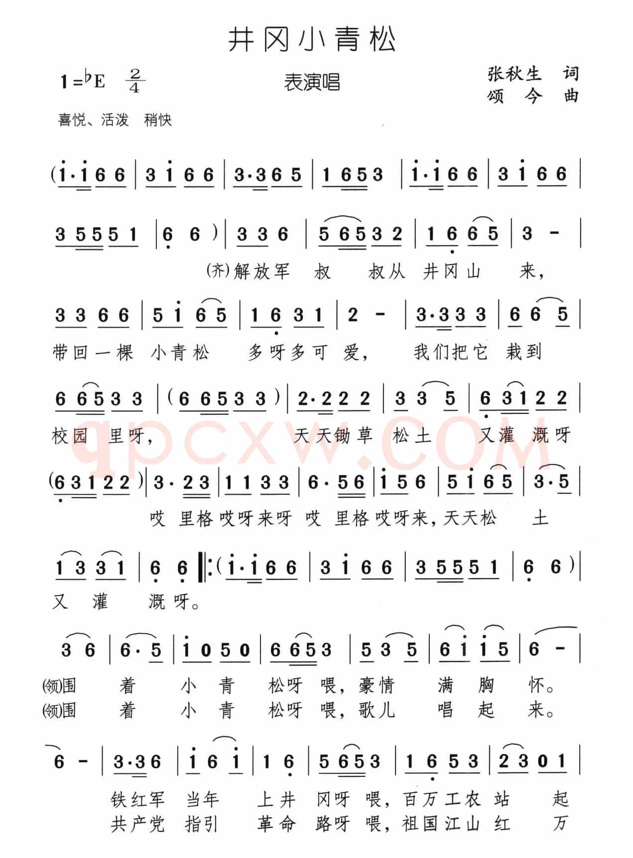 井冈小青松