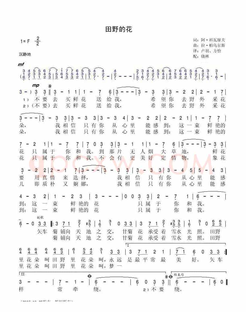 田野的花（俄）