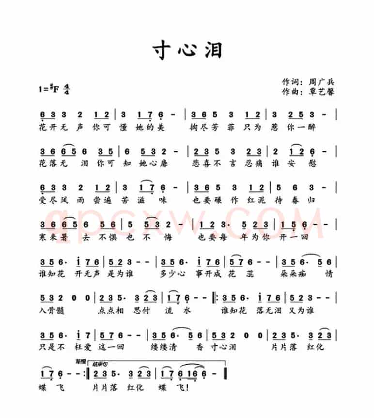 寸心泪
