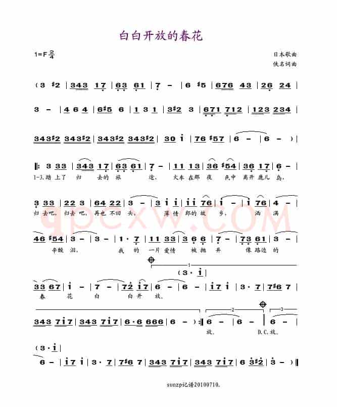 白白开放的春花