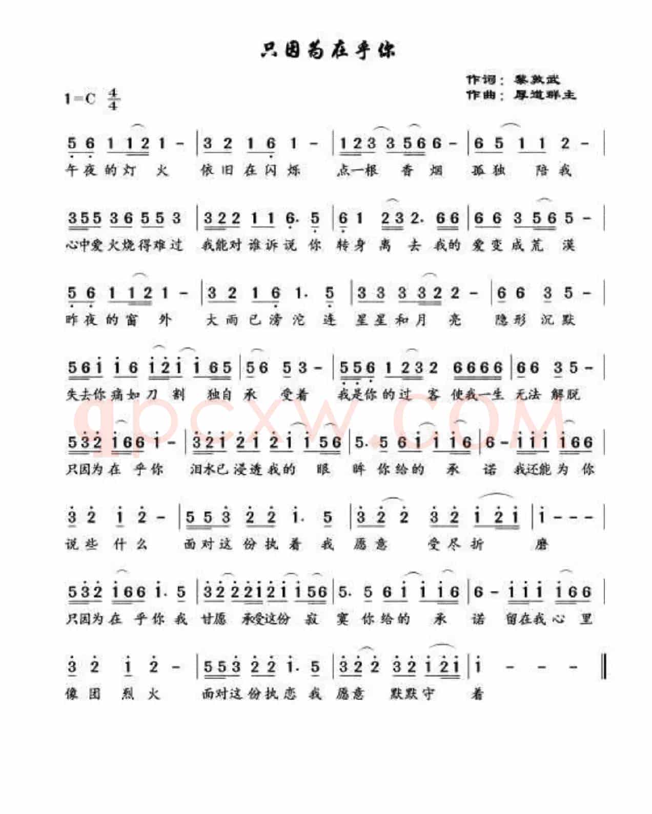 只因在乎你