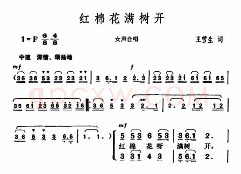 红棉花满树开