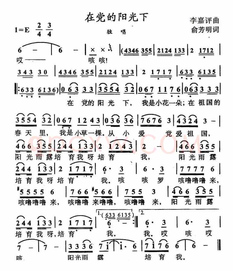 在党的阳光下