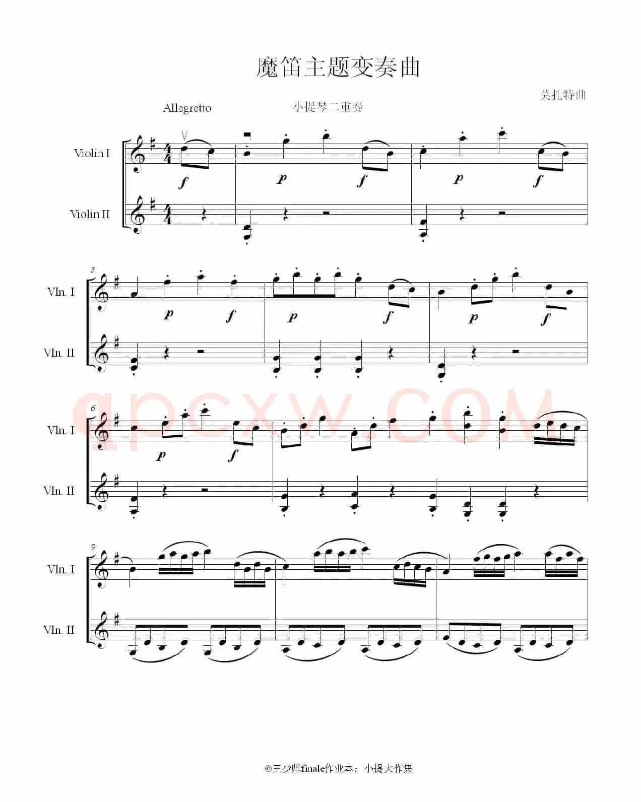 魔笛主题变奏曲（小提琴大提琴二重奏）
