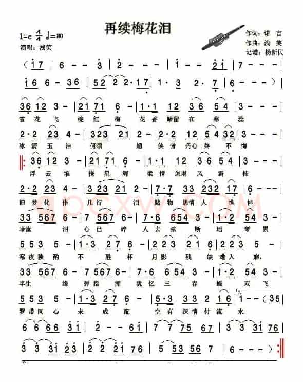 再续梅花泪