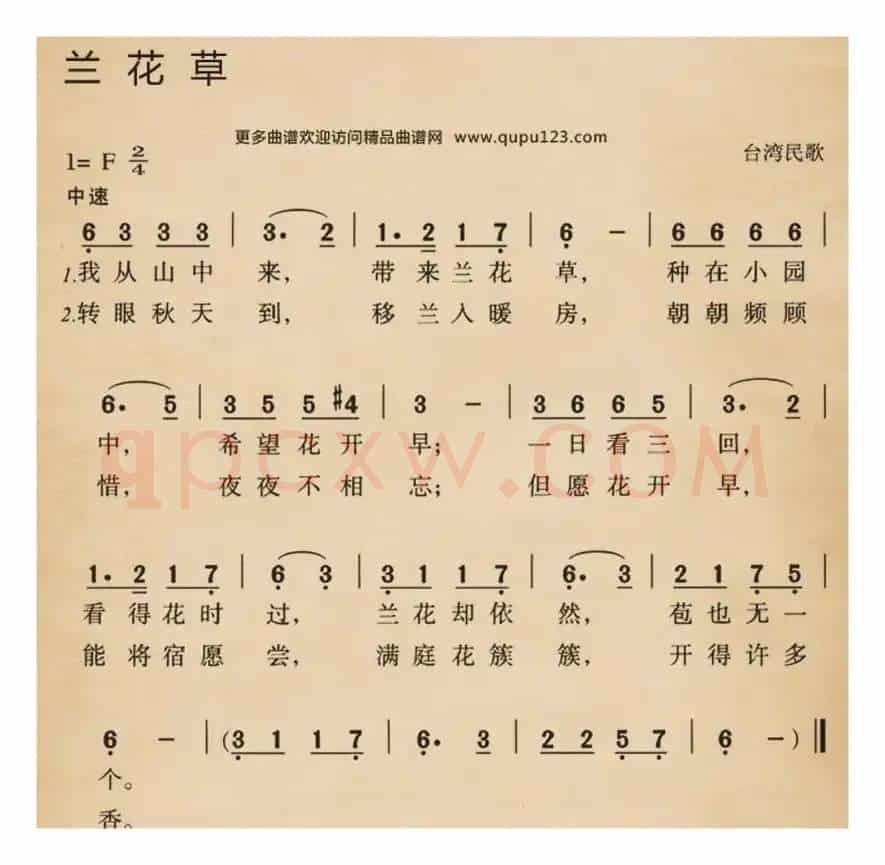 兰花草