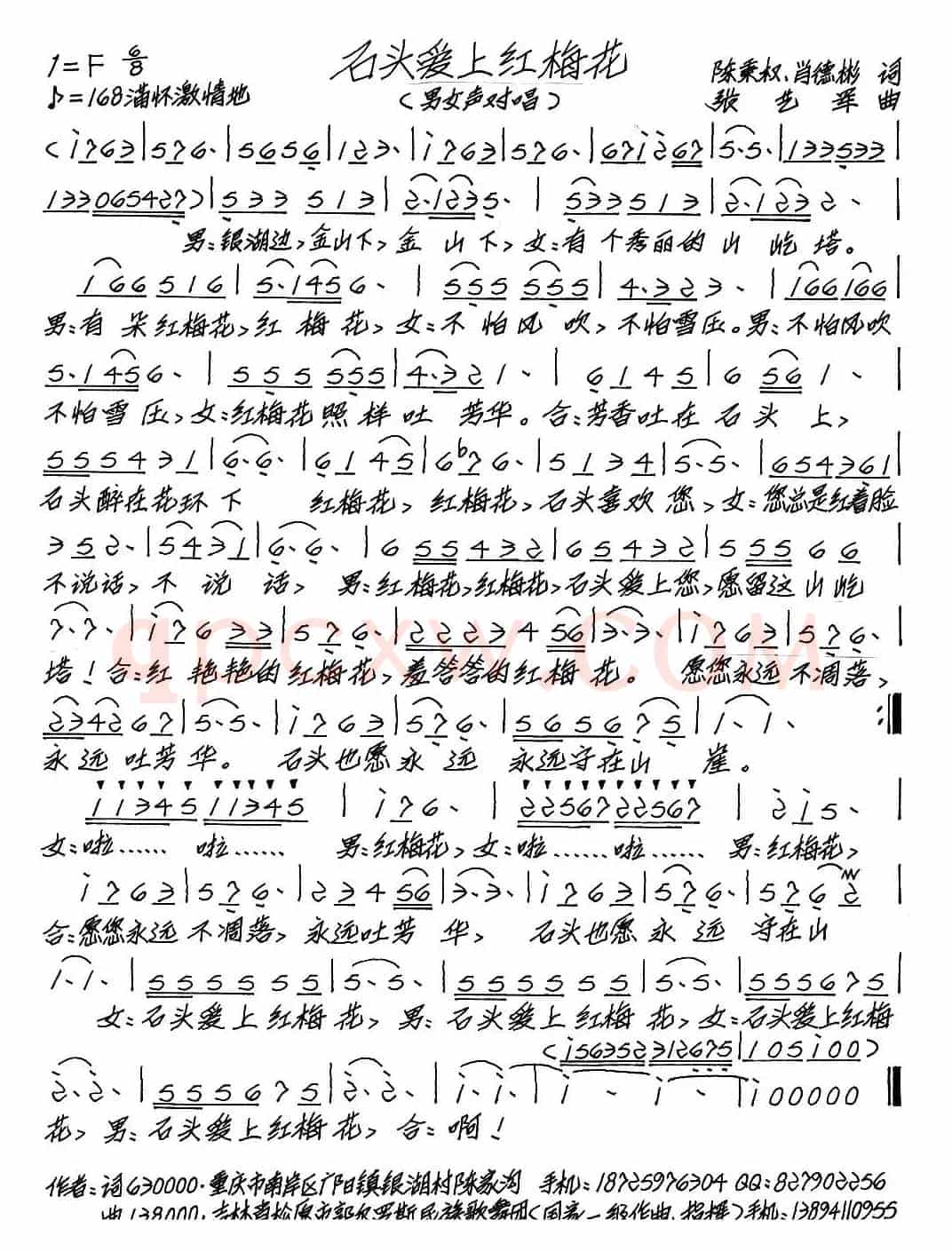 石头爱上红梅花