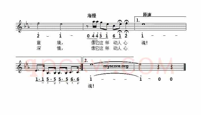 [捷]小提琴的流韵（线简谱对照版）