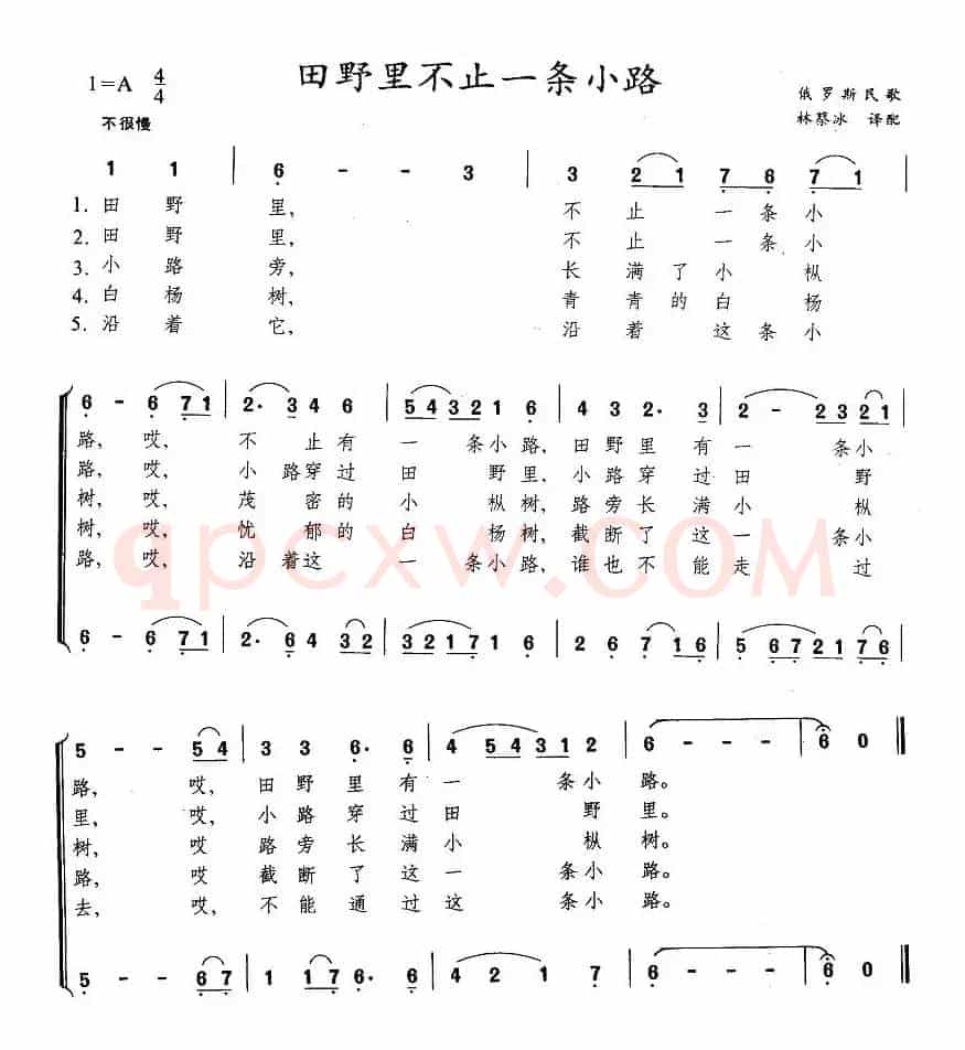 [俄]田野里不止一条小路