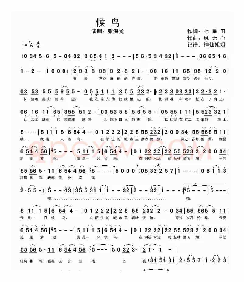 候鸟（张海龙演唱版）
