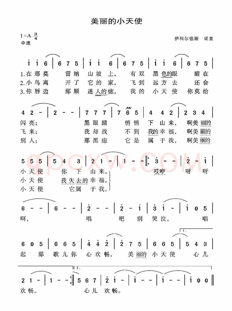 [墨西哥]美丽的小天使