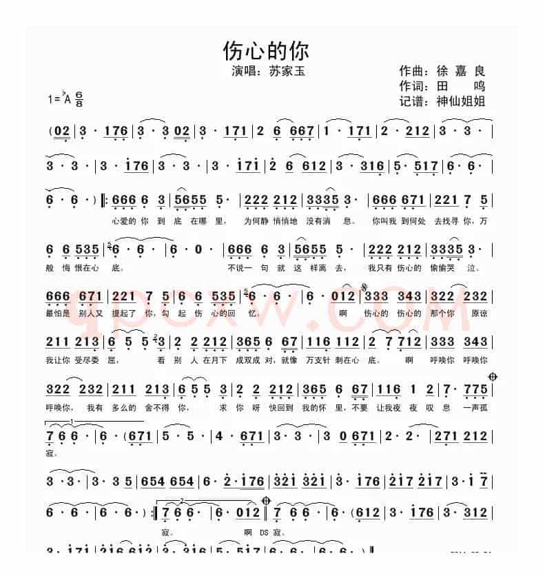 伤心的你（国语演唱版）