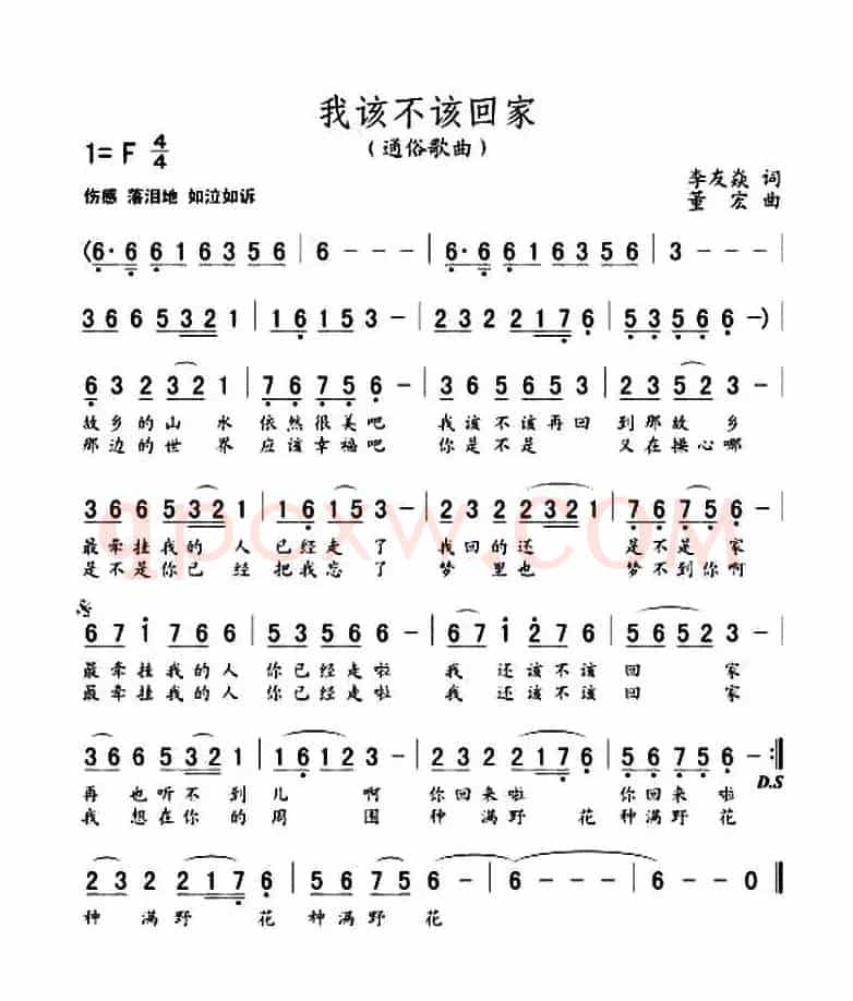 我该不该回家（李友焱词 董宏曲）