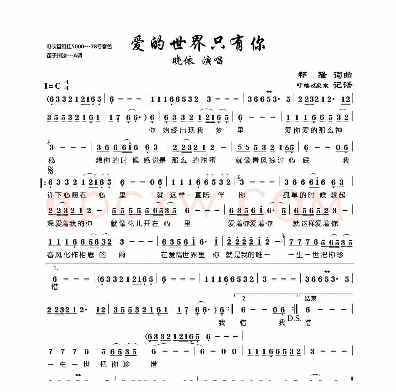 爱的世界只有你（电吹管）