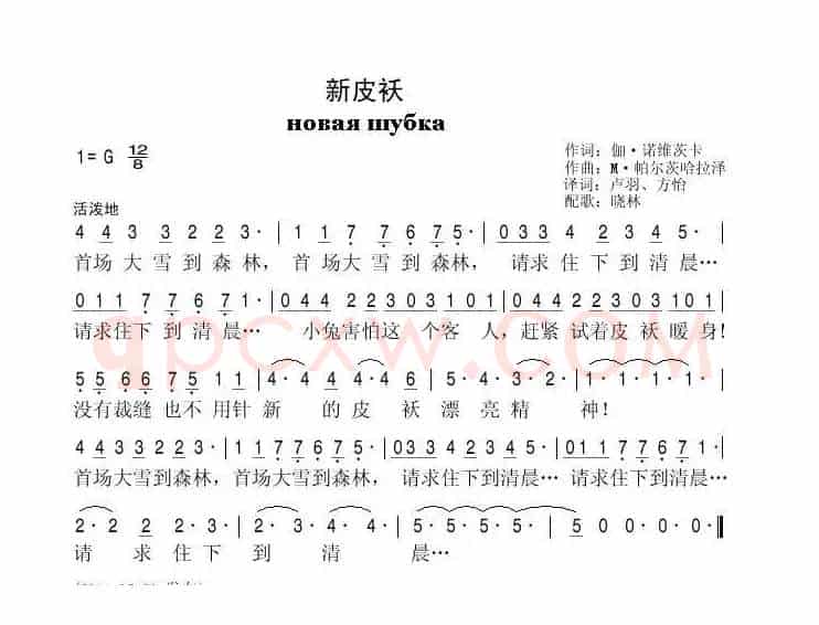 新皮袄