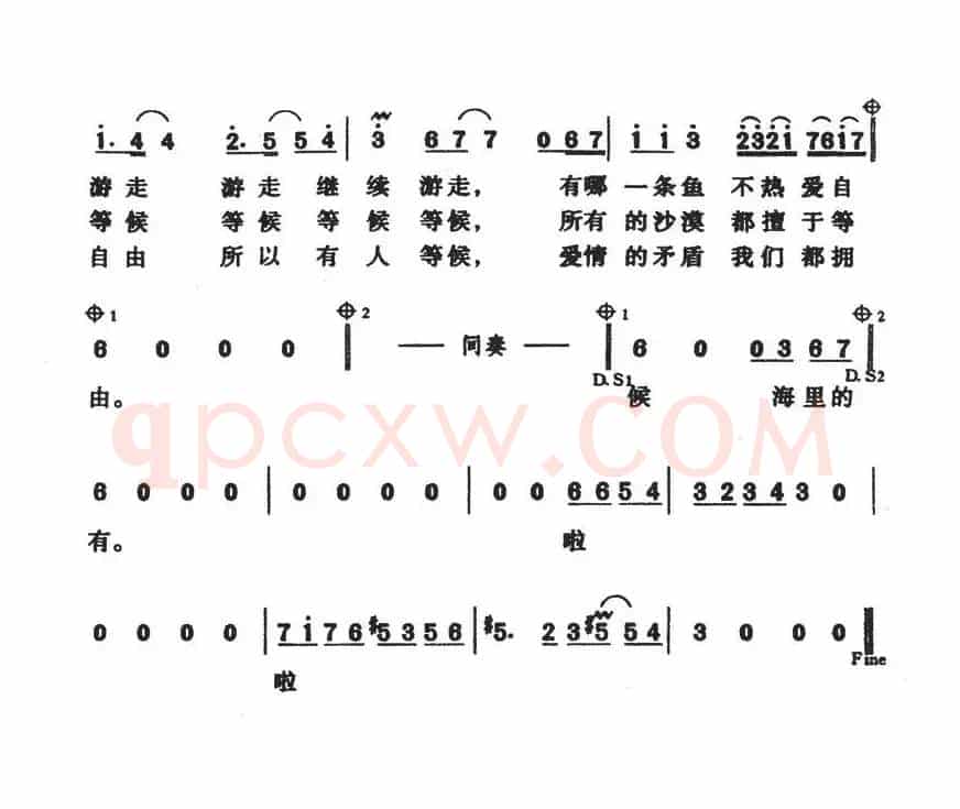 热带鱼和仙人球