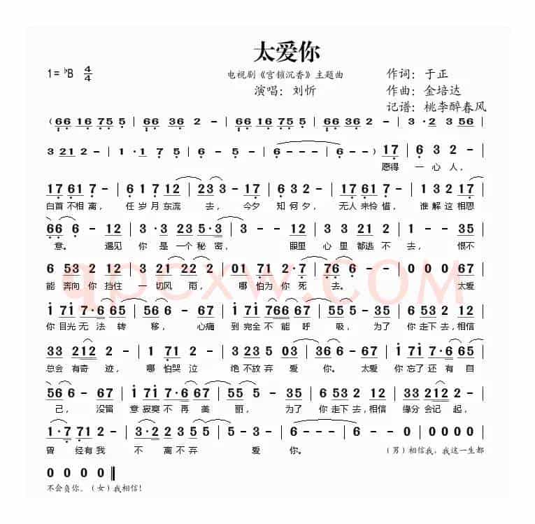 太爱你（《宫锁沉香》主题曲）