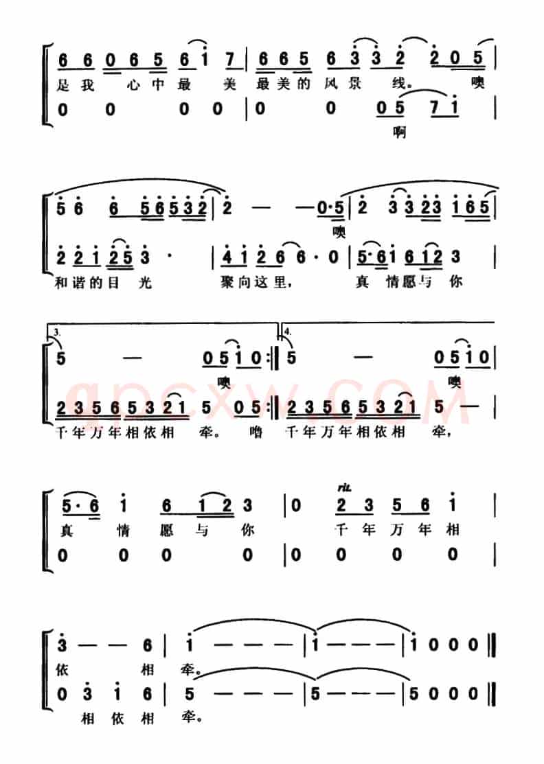 红海滩 黑嘴鸥