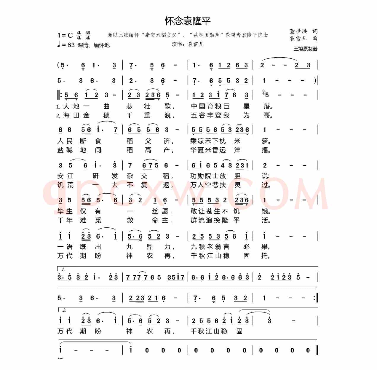 怀念袁隆平