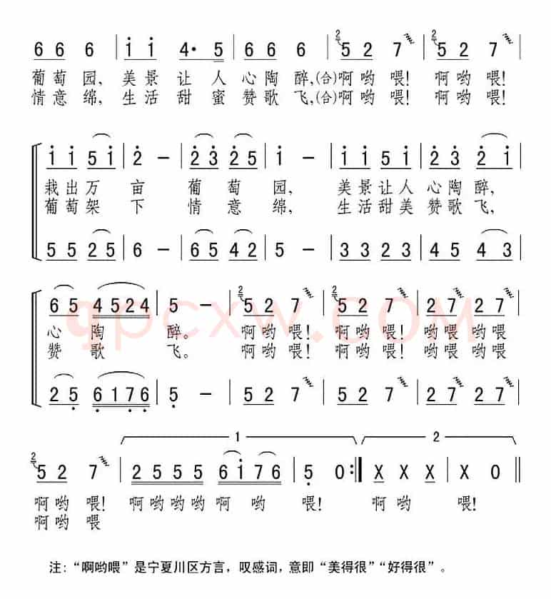 沙窝的葡萄“啊哟喂”