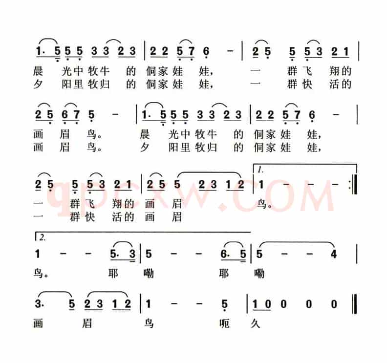 侗寨的画眉鸟