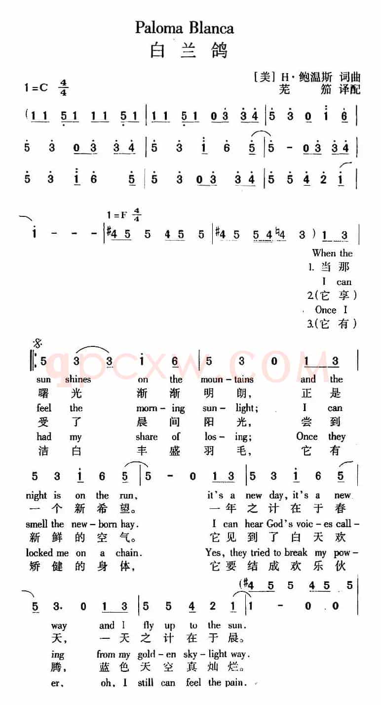PALOMA BLANCA（白兰鸽）（ 中英文对照版）