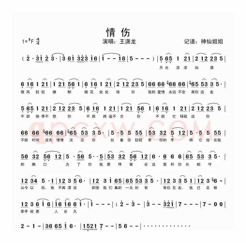 情伤（王潇龙演唱版）