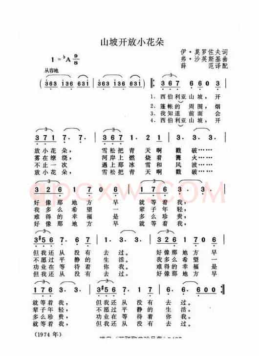 山坡开放小花朵（俄）