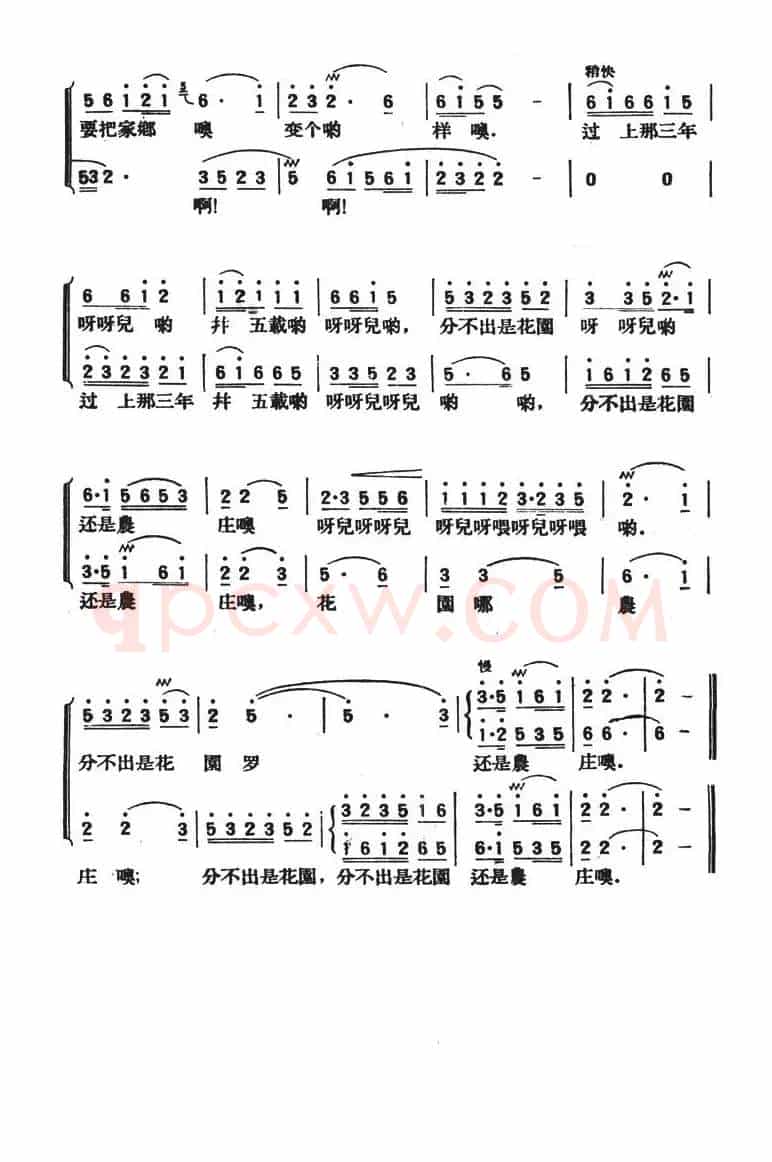 来年处处是花香
