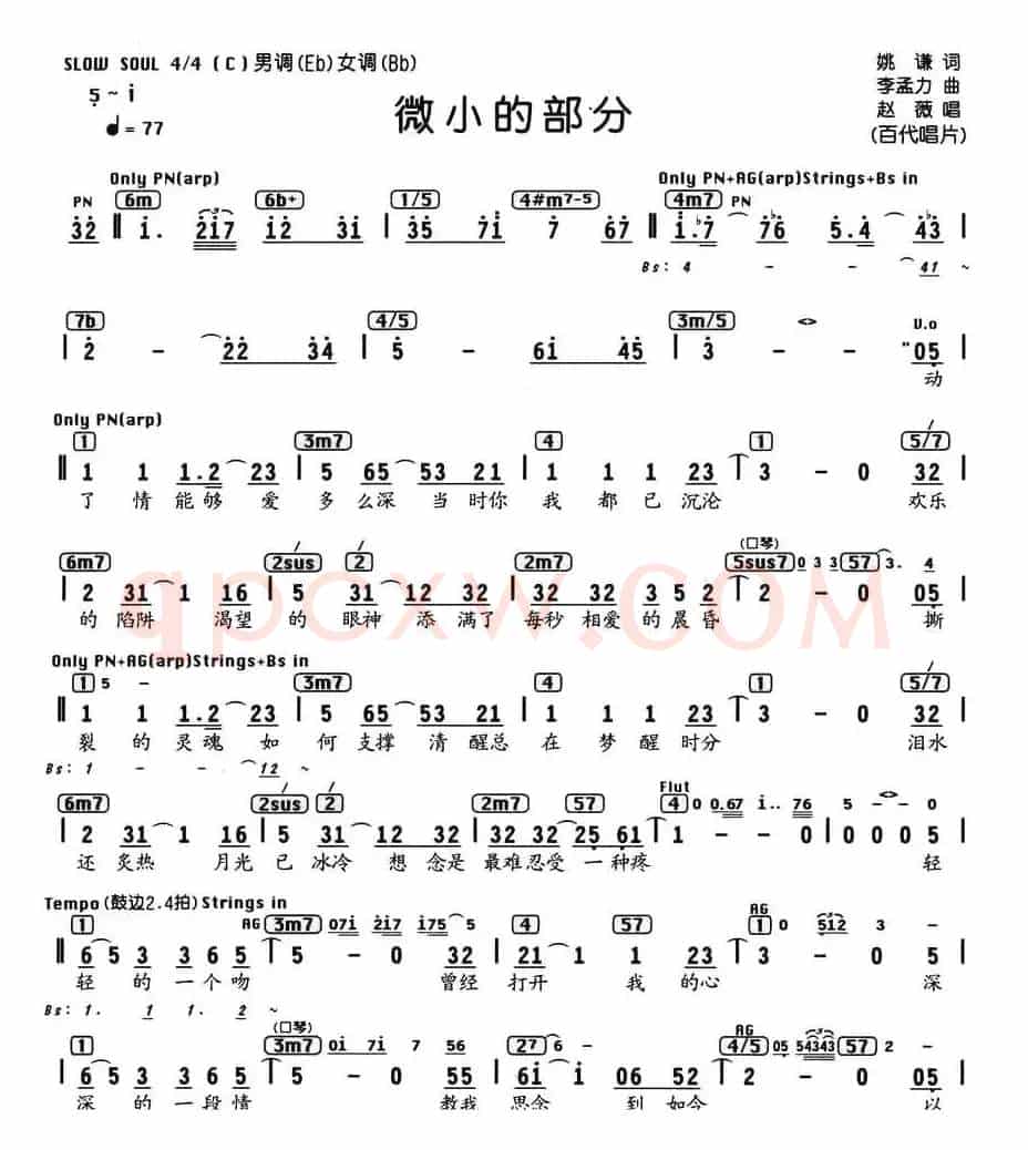 微小的部分（编配乐谱）