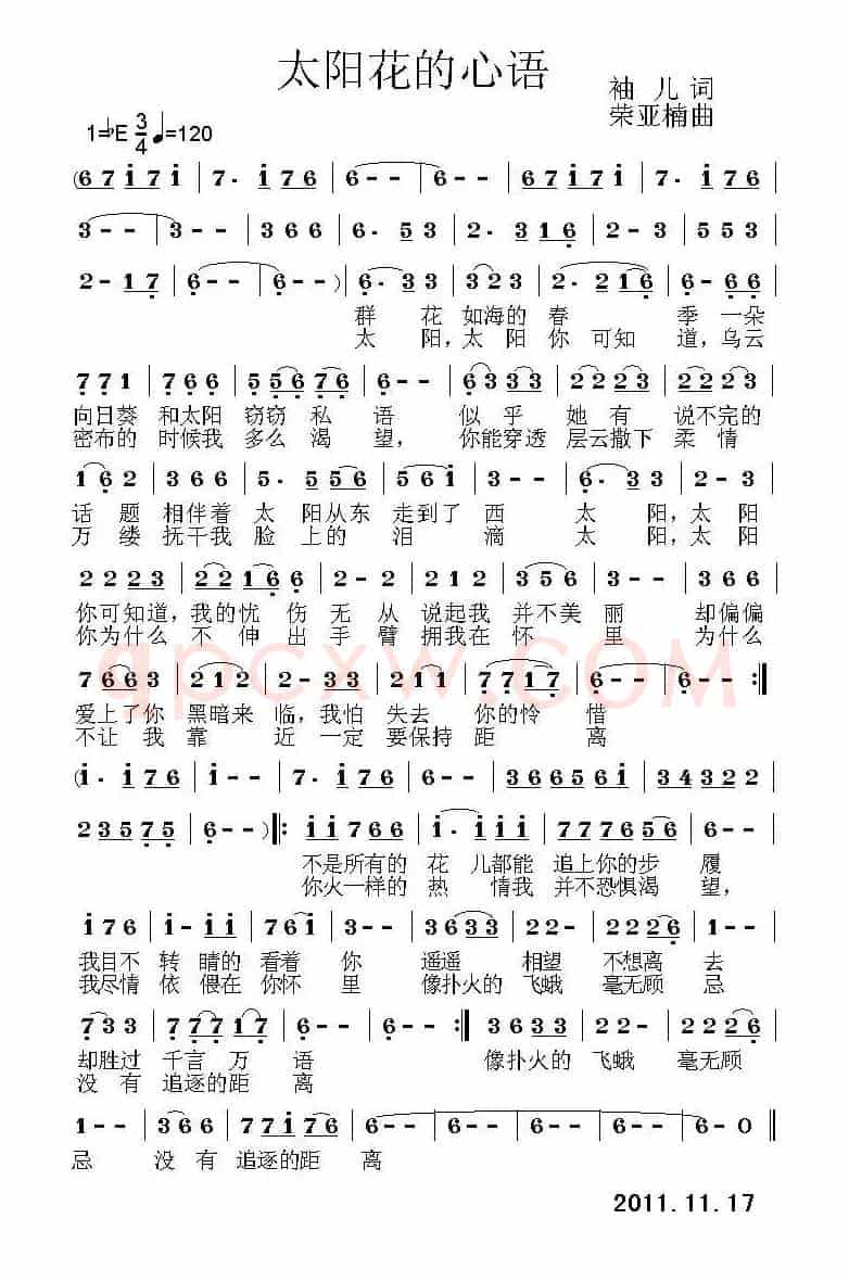 太阳花的心语