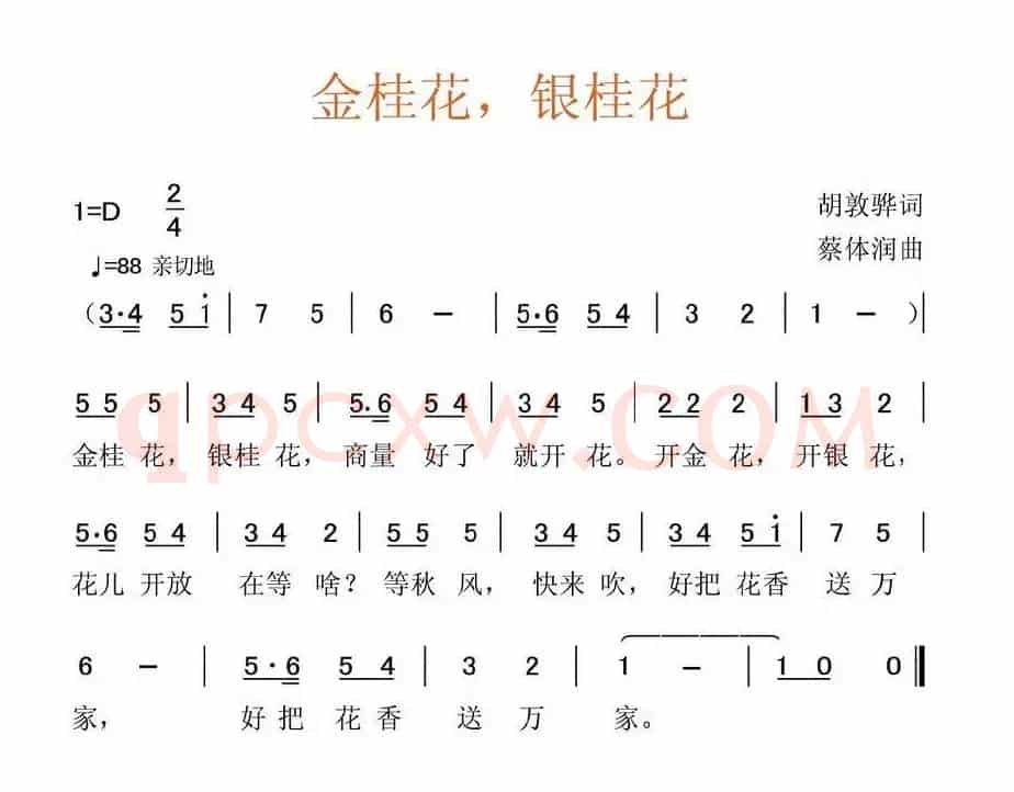 金桂花，银桂花 