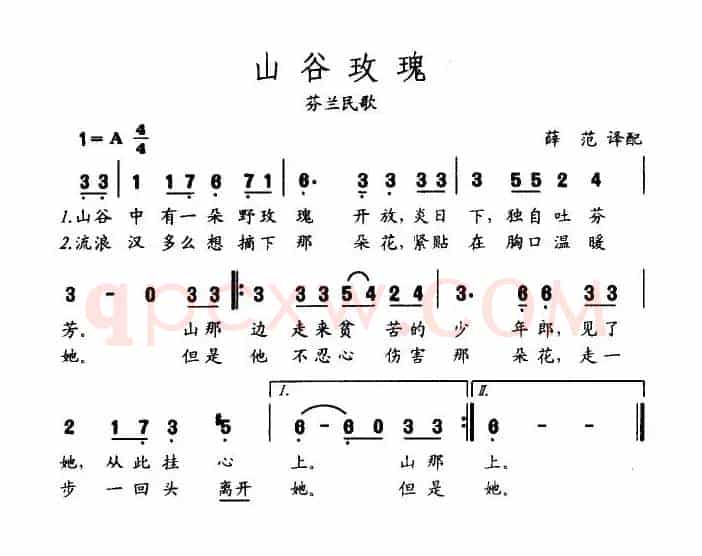 山谷玫瑰（芬兰）