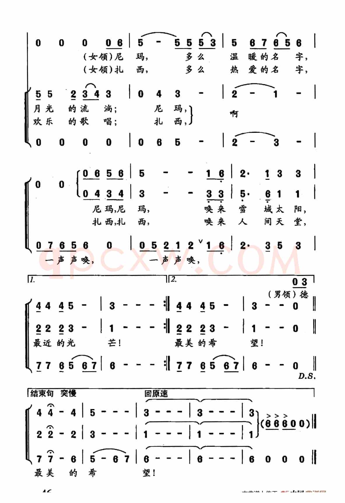 你的名字（施翔词 陈卫东曲）