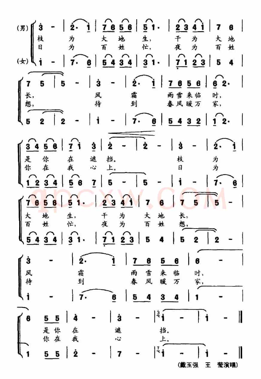 你是一棵树