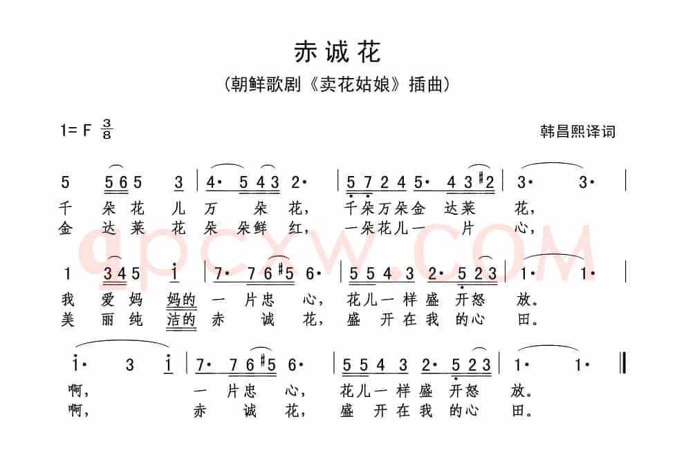 [朝鲜] 赤诚花
