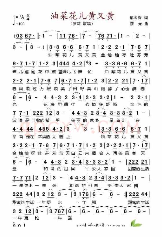 油菜花儿黄又黄