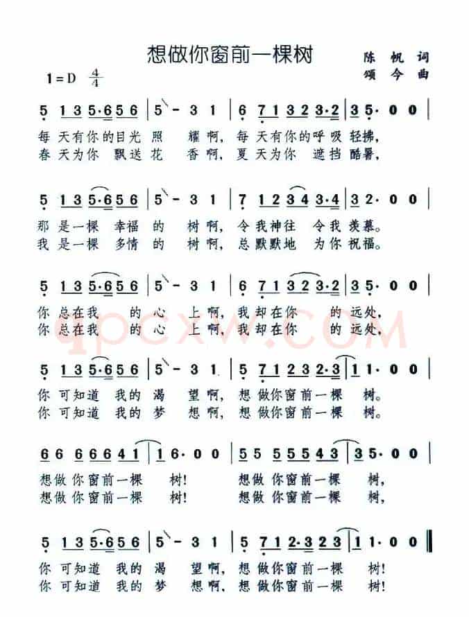 想做你窗前一棵树
