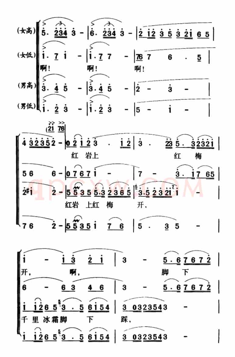 军歌金曲：红梅赞